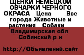 ЩЕНКИ НЕМЕЦКОЙ ОВЧАРКИ ЧЕРНОГО ОКРАСА › Цена ­ 1 - Все города Животные и растения » Собаки   . Владимирская обл.,Собинский р-н